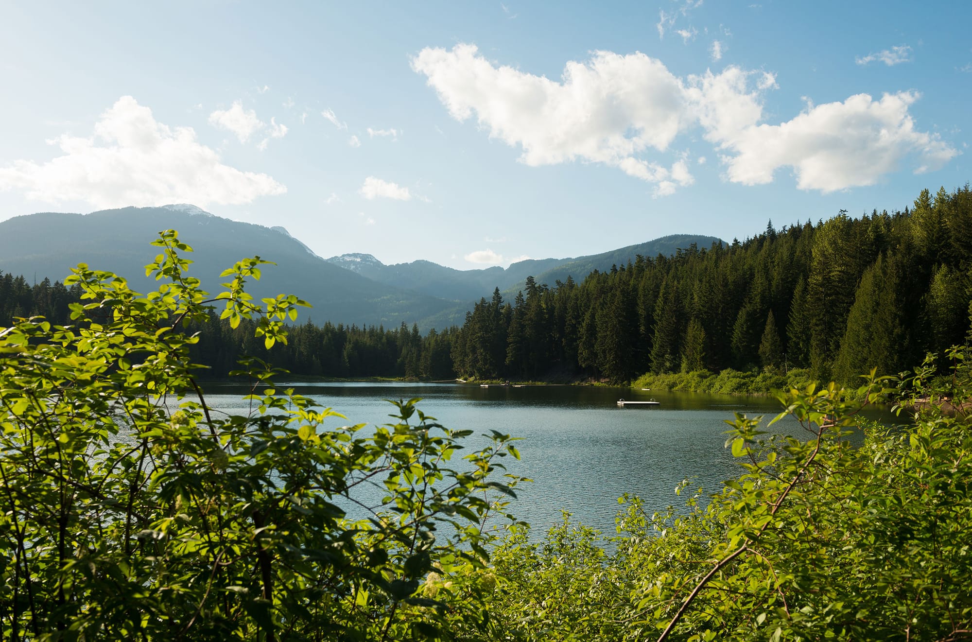 Beautiful view of Lost Lake through the foliage