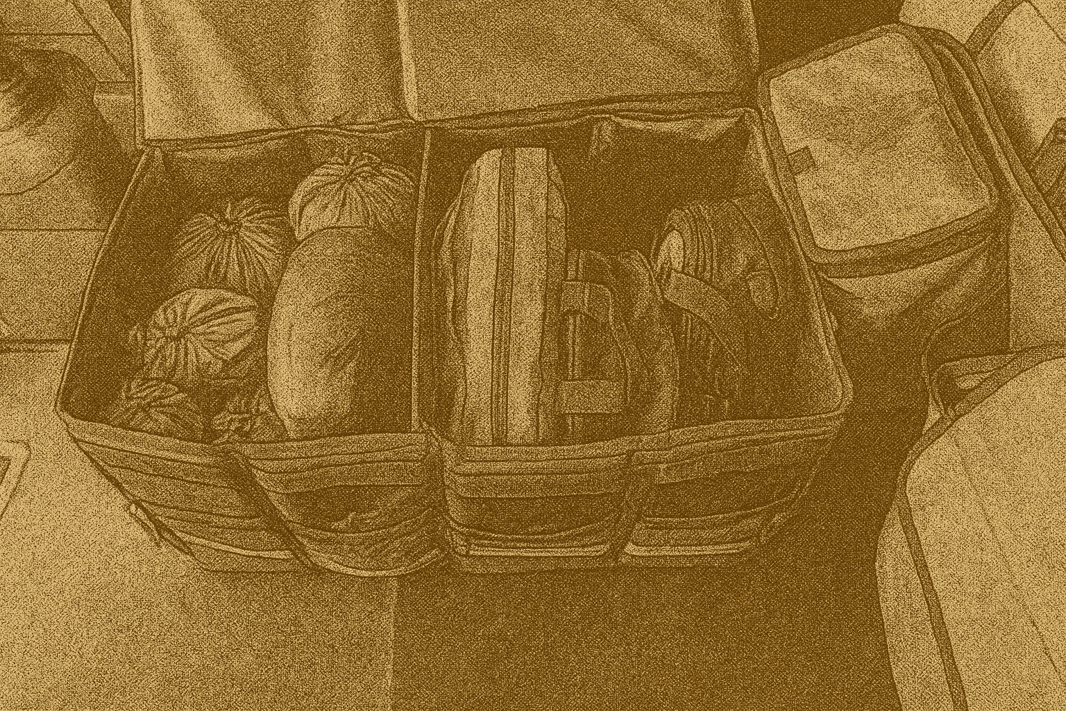 Labeled pouches in a sturdy bin secured in a car trunk with straps for easy access