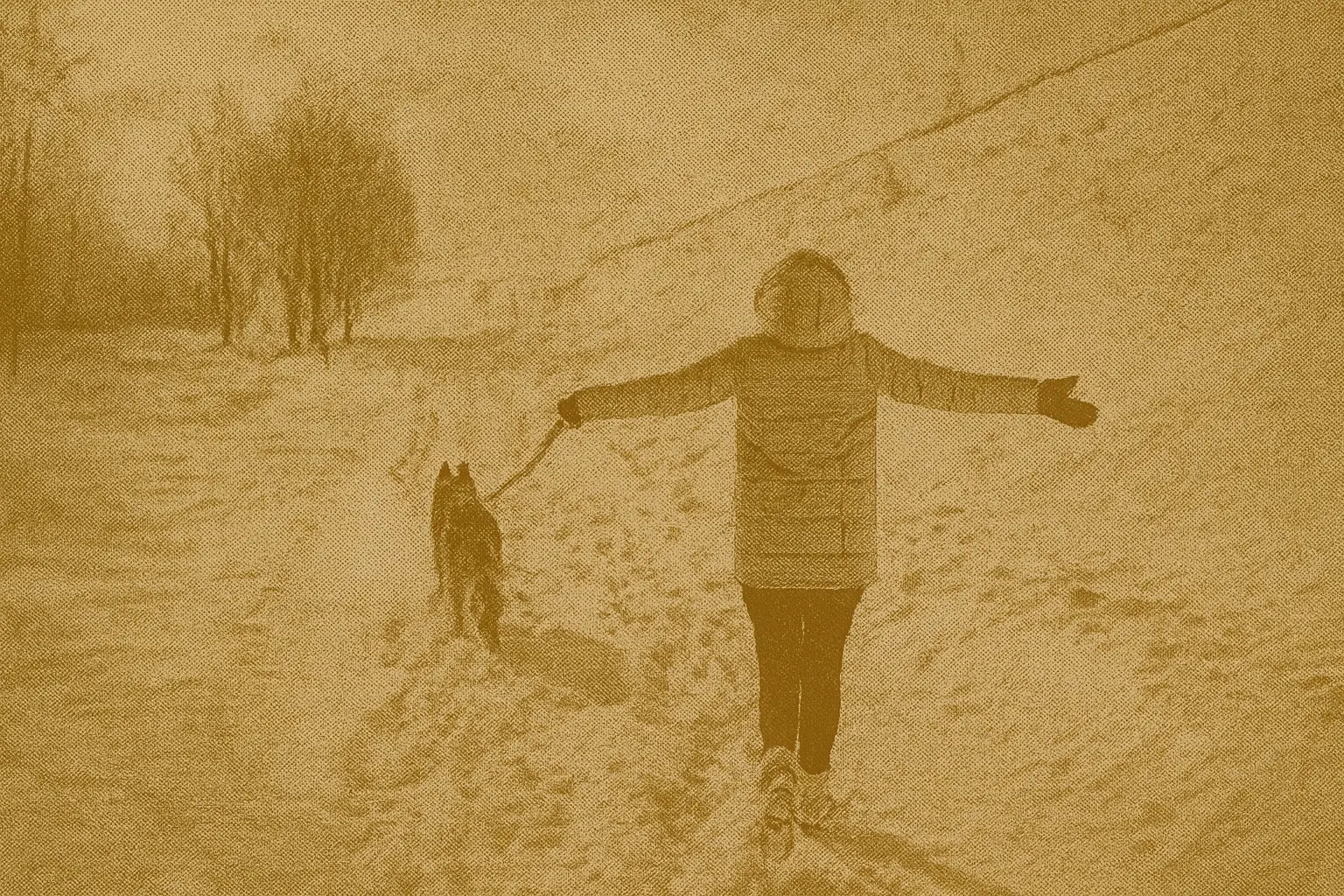 Person walking dog in open snowy field wearing warm winter gloves designed for cold weather dog walking in Canadian winter conditions