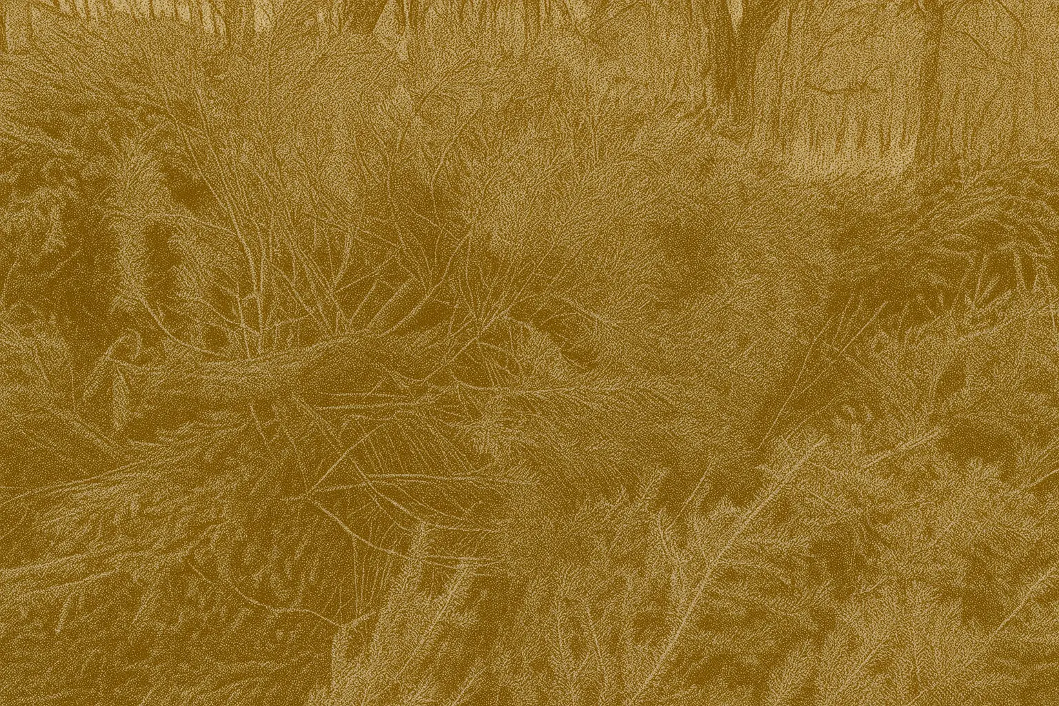 Close-up of dried Christmas tree pine needles and branches ready for composting or turning into garden mulch as part of eco-friendly tree disposal
