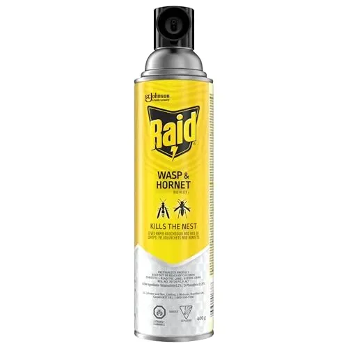 Raid Wasp and Hornet Killer spray can, designed to eliminate nest insects on contact.