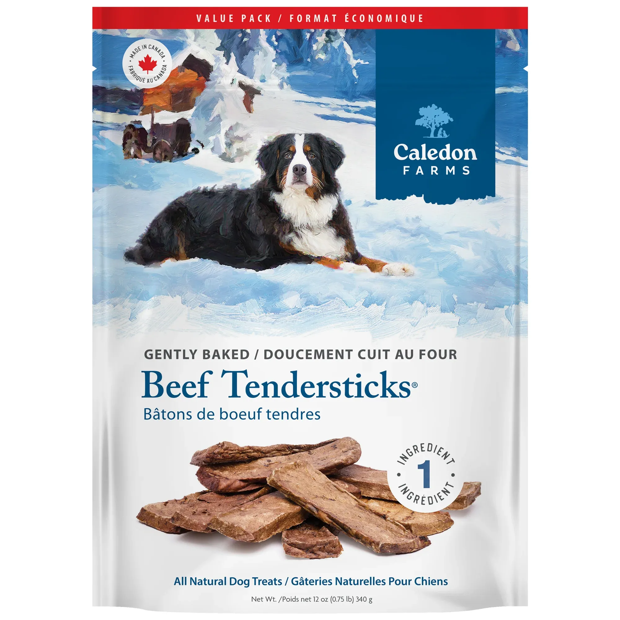 Caledon Farms Beef Tendersticks package with Bernese Mountain Dog in Canadian winter snow