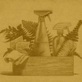 Best Eco-Friendly Cleaning Products in Canada (2025 Guide)