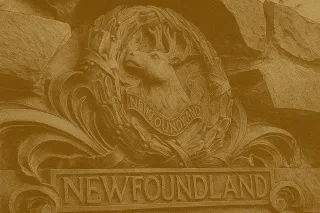 Remains of Four WWI Soldiers from Newfoundland and Labrador Found in Europe