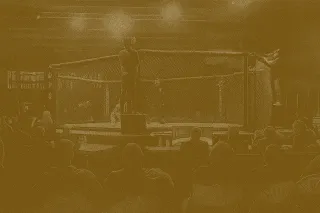 P.E.I. Considers Legalizing Prize Fighting in Boxing and MMA Competitions