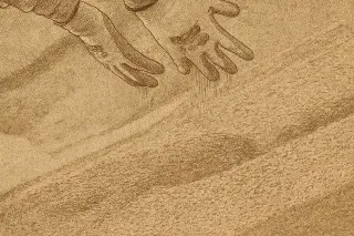 Saskatchewan Potash Industry Faces Risk as Trump Threatens Fertilizer Tariffs