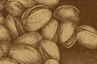 Canada Expands Pistachio Recall to 333 Products Amid Salmonella Outbreak