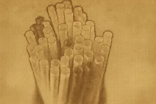 Federal Court Upholds Ottawa's Toxic Plastics Ban, Impacting Industry Nationwide