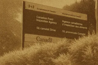 Toronto Vegan Ice Cream Recalled Over Undeclared Milk, CFIA Warns