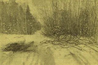 New Brunswick Wire Theft Cuts Phone Service for 135 Residents, 3 Charged