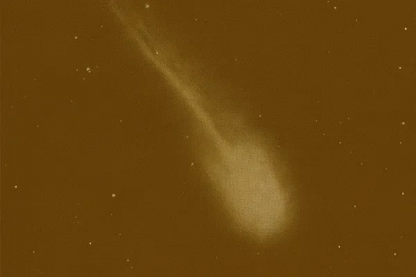 Salmon Arm Man's Cat Helps Capture Rare Comet Lemmon on Security Camera