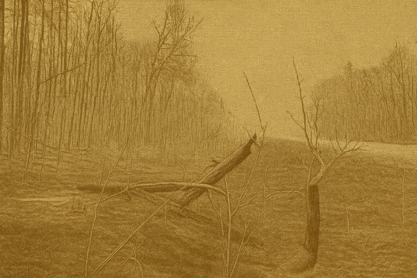 Manitoba Hydro Reports $63M Loss Amid Ongoing Drought Challenges