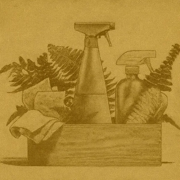 Best Eco-Friendly Cleaning Products in Canada (2025 Guide)