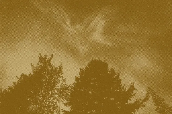 Northern Lights Dazzle Canadians as Far South as Texas Amid Solar Storm