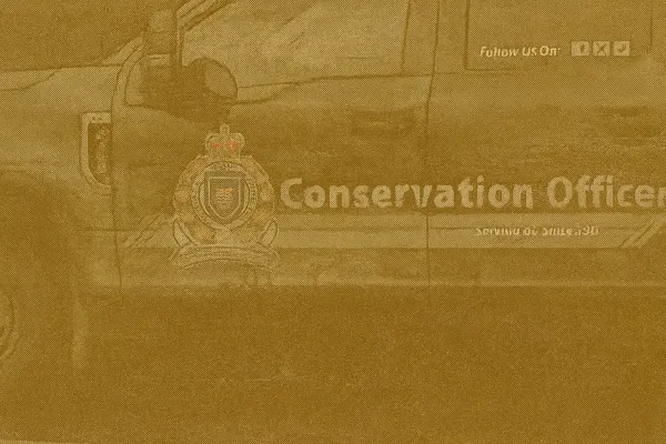 Grizzly Sow and Cubs Likely Involved in Bella Coola Attack, Four Injured