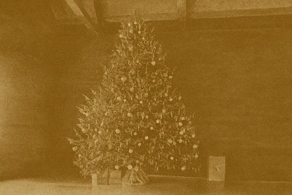 What to Do With Your Real Christmas Tree After Christmas: Canadian Recycling, Disposal & Reuse Guide 2025