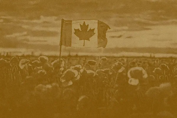 Remembrance Day: Honouring the Canadians Who Served