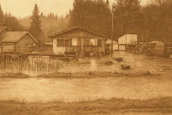 Fraser Valley Declares Emergency as Flood Risk Looms After Heavy Rain