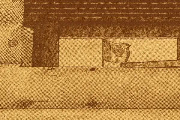 Canada Implements 'Buy Canadian' Policy for $25M+ Federal Contracts Amid Trade War