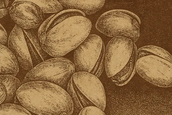 Canada Expands Pistachio Recall to 333 Products Amid Salmonella Outbreak