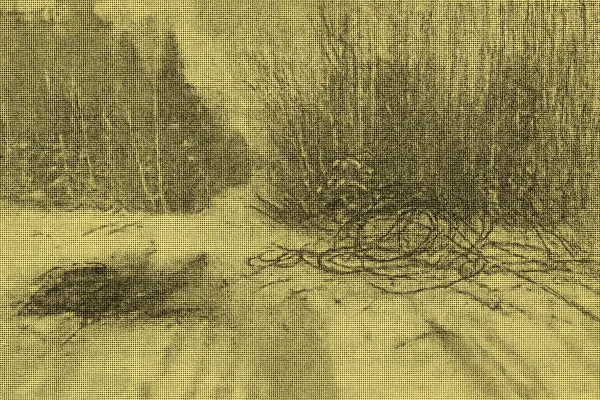 New Brunswick Wire Theft Cuts Phone Service for 135 Residents, 3 Charged